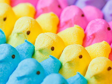 Enter the 2023 PEEPS Diorama Contest