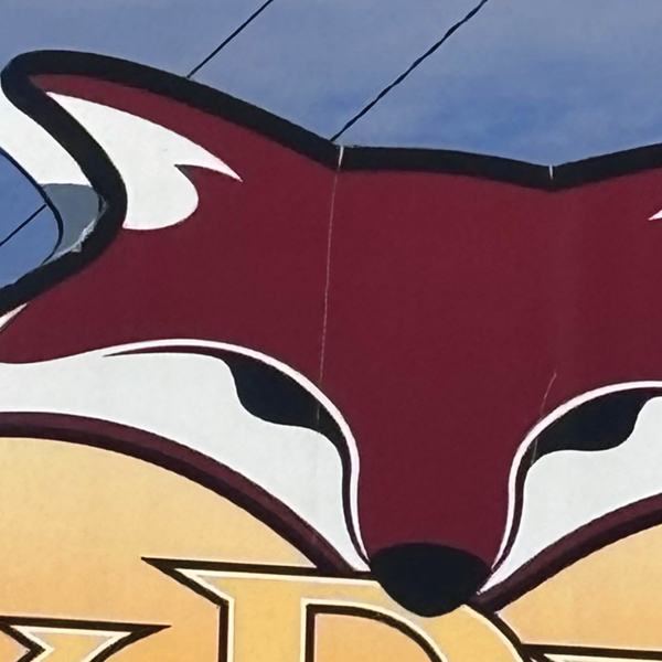 closeup of a cartoon fox face