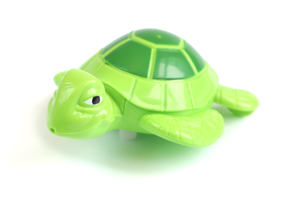 Wind up sea turtle toy
